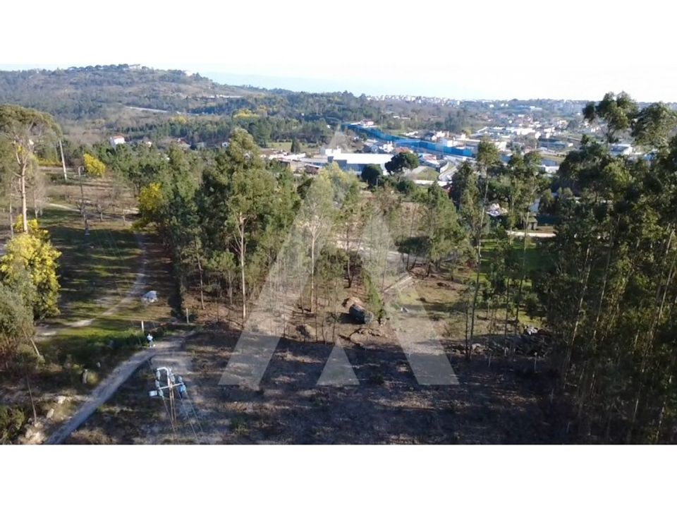 Helårsgrund i Mangualde, Viseu - foto 2