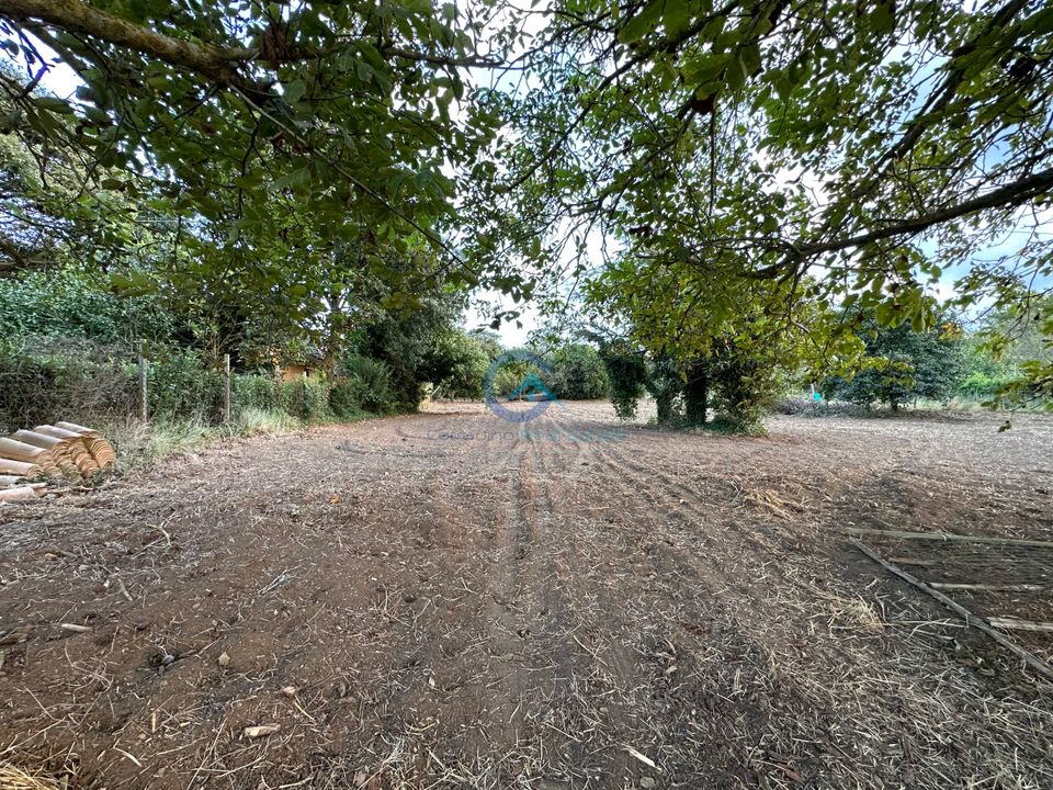 Erhvervsejendom i Borgia, Catanzaro - foto 5