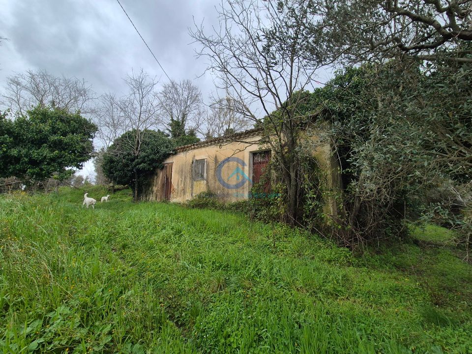 Erhvervsejendom i Borgia, Catanzaro - foto 5