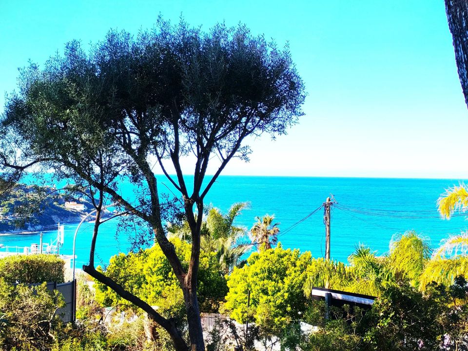 Lejlighed i Sanary-sur-Mer, Var - foto 1