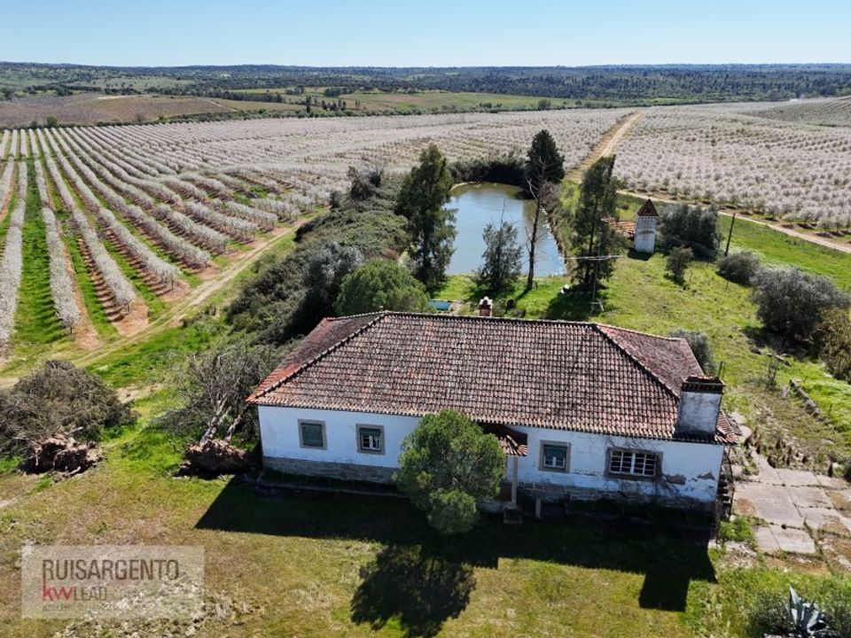 Tomt i Idanha-a-Nova, Castelo Branco - bilde 1