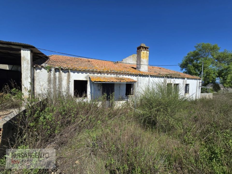 Tomt i Idanha-a-Nova, Castelo Branco - bilde 5