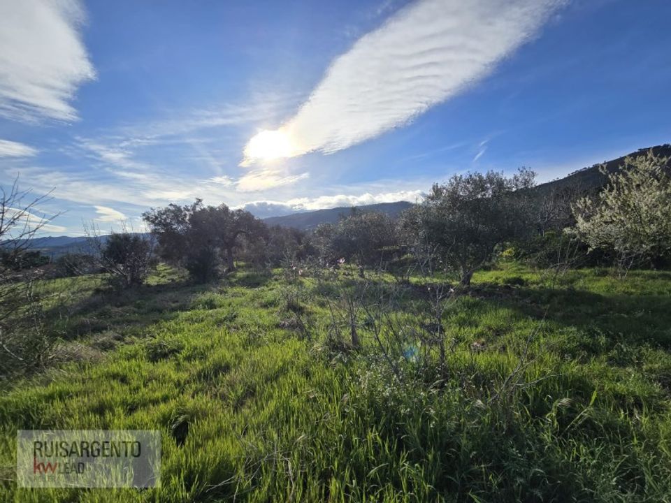 Helårsgrund i Alpedrinha, Castelo Branco - foto 4