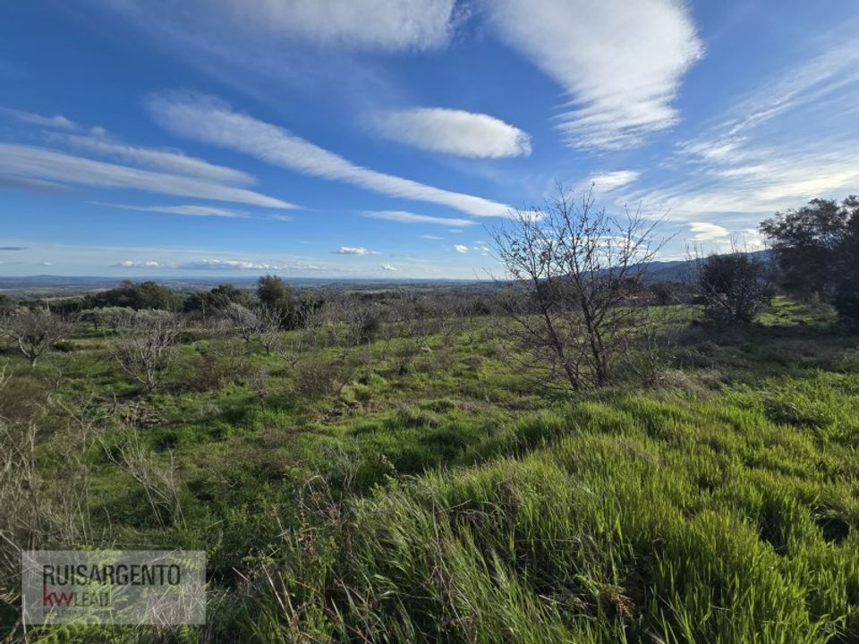 Helårsgrund i Alpedrinha, Castelo Branco - foto 2
