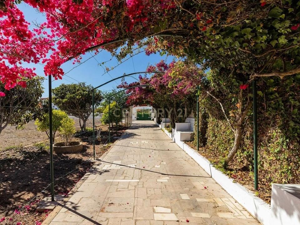 Farm hus i Sagres, Faro - foto 3