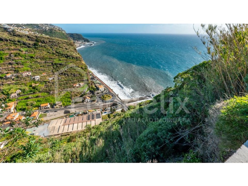 Farm i Ribeira Brava, Madeira - foto 3