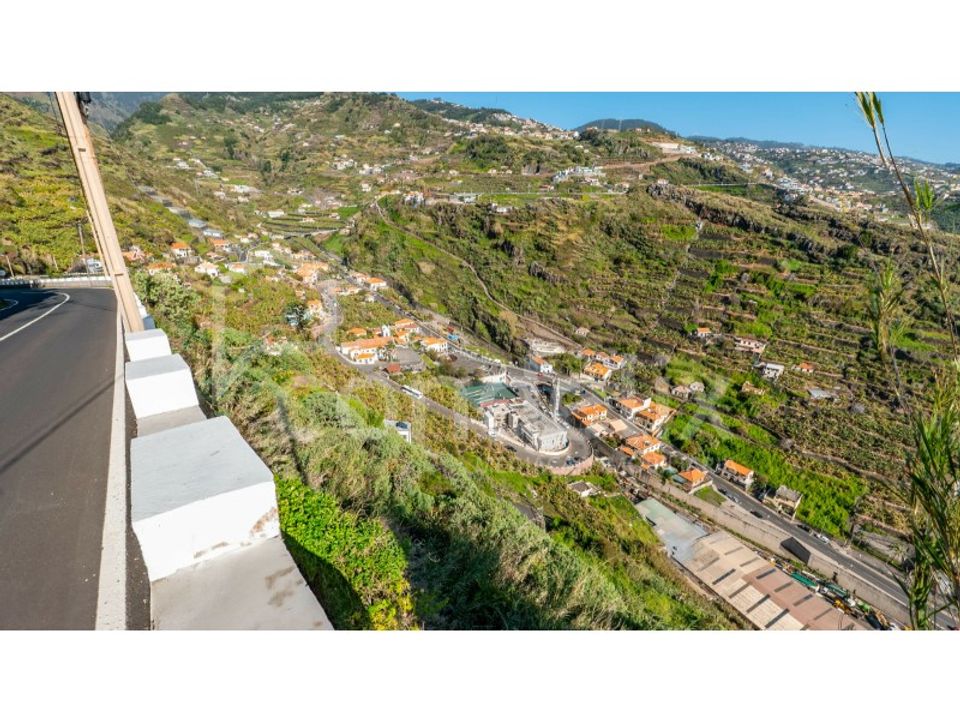 Farm i Ribeira Brava, Madeira - foto 4