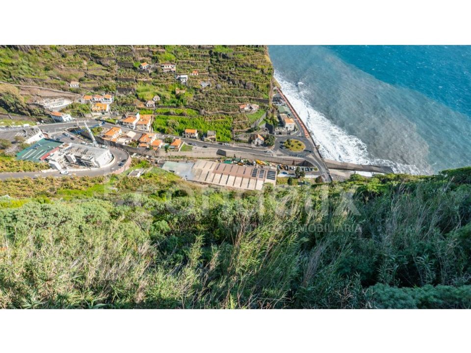 Farm i Ribeira Brava, Madeira - foto 5