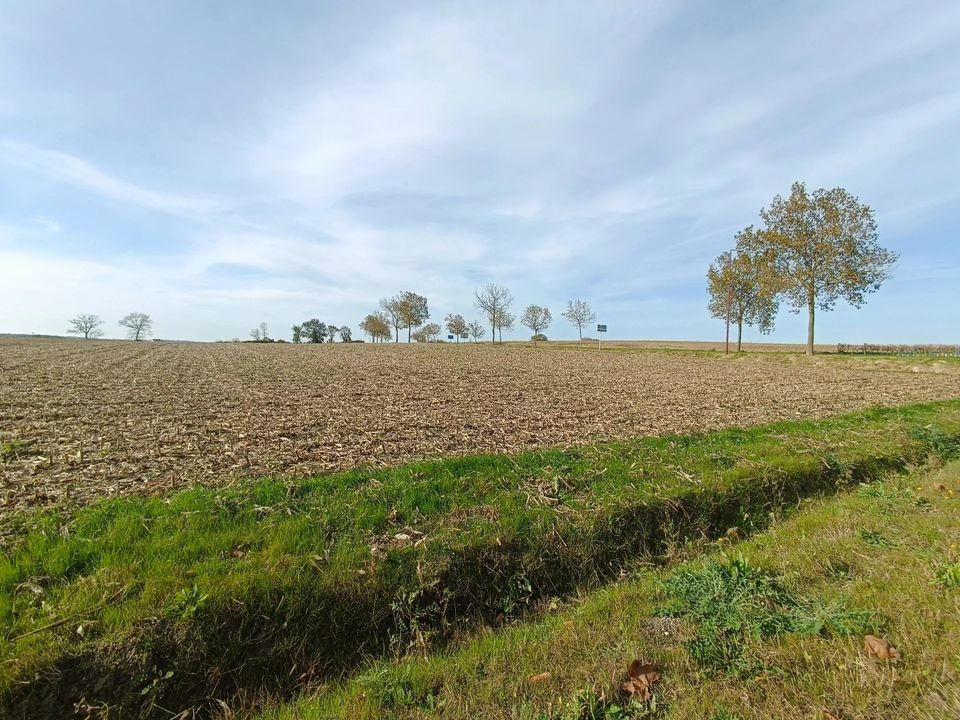 Helårsgrund i Mirambeau, Charente-Maritime - foto 1