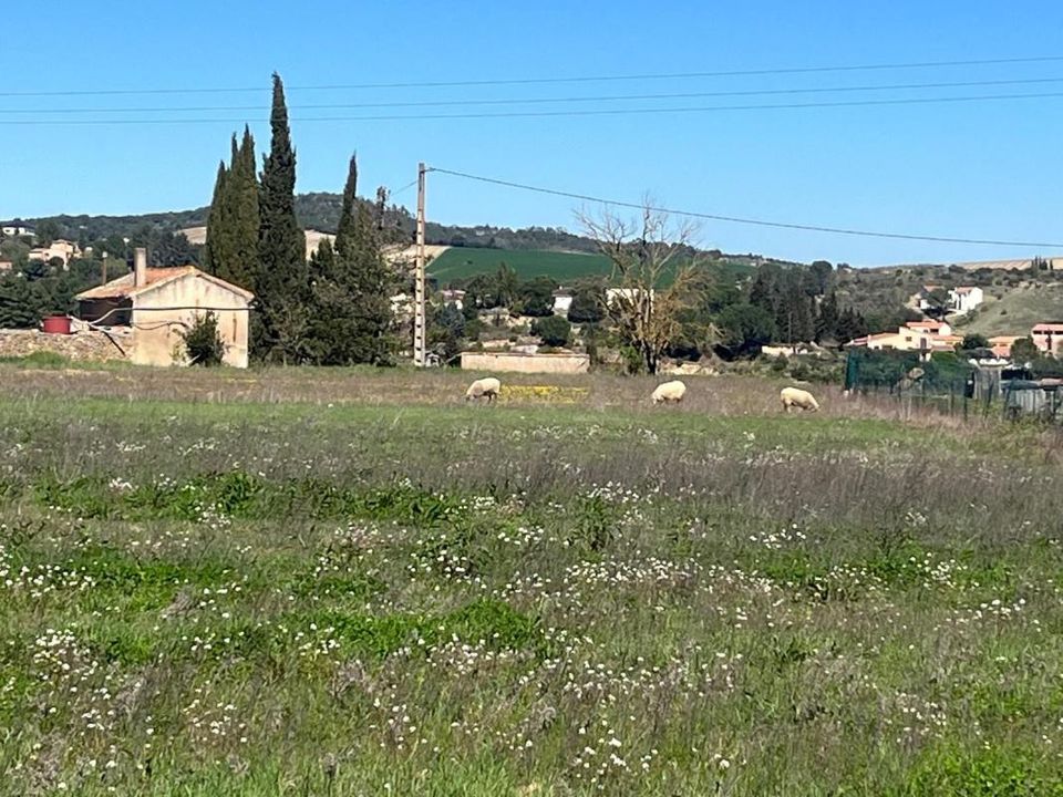 Helårsgrund i Limoux, Aude - foto 3