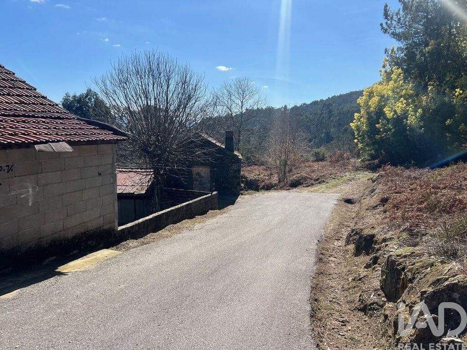 Farm i Sao Pedro do Sul, Viseu - foto 2