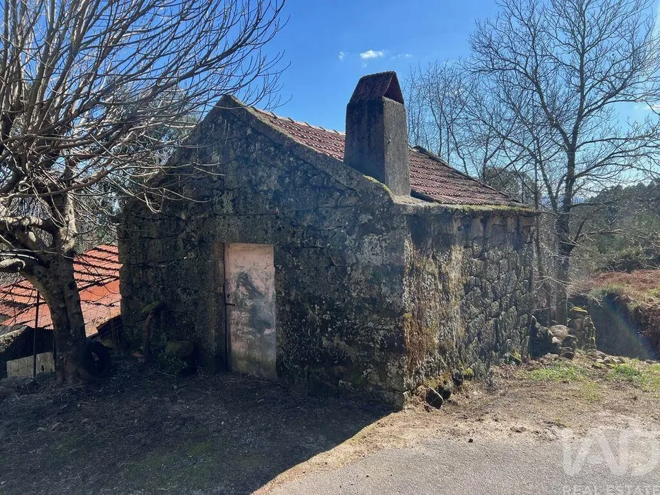 Farm i Sao Pedro do Sul, Viseu - foto 4
