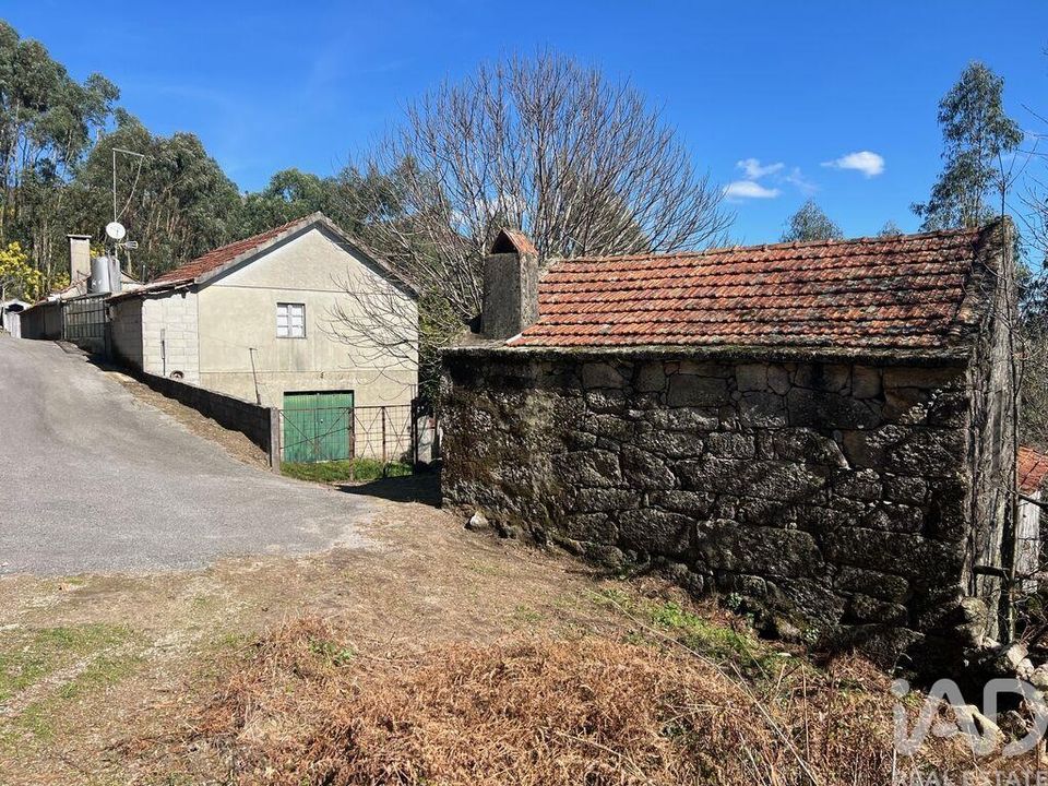 Farm i Sao Pedro do Sul, Viseu - foto 5