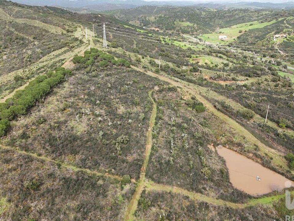 Farm i Lagos, Faro - foto 4