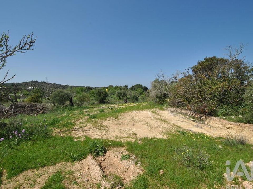 Helårsgrund i Albufeira, Faro - foto 3
