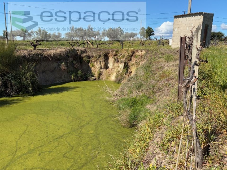 Tomt i Fundao, Castelo Branco - bilde 2