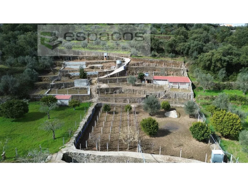 Farm i Castelo Branco, Castelo Branco - foto 1