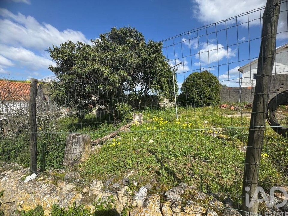Byhus i Alcobaca, Leiria - foto 5