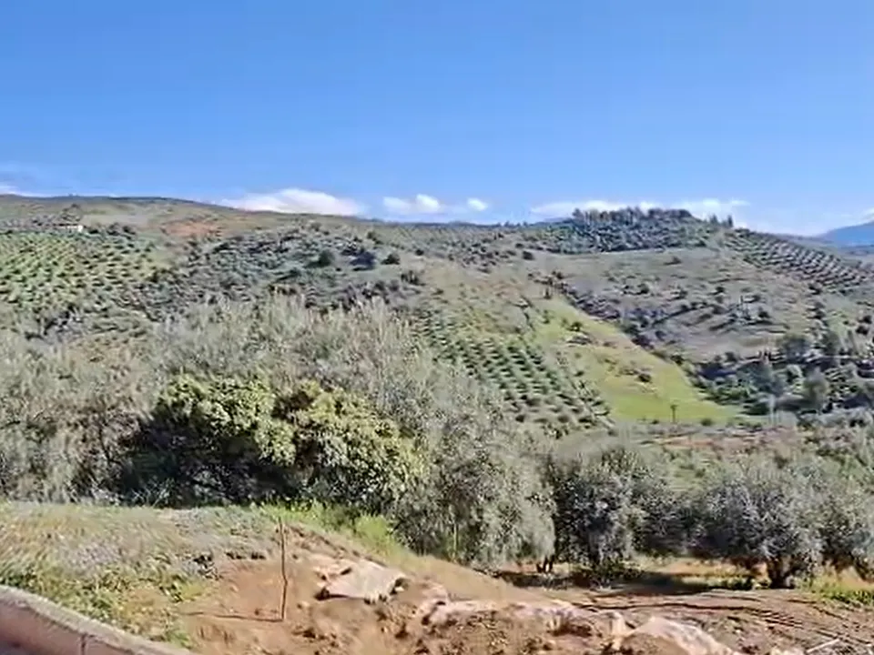 Landejendom i Riogordo, Malaga - foto 4