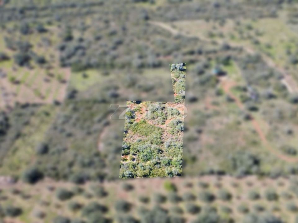 Helårsgrund i Silves, Faro - foto 1