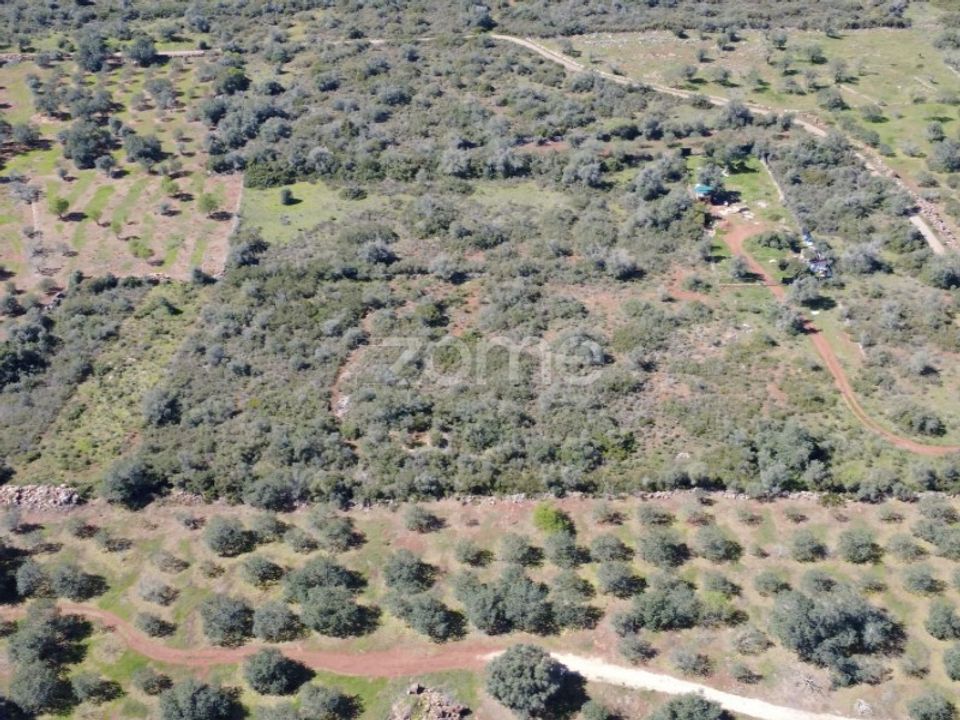 Helårsgrund i Silves, Faro - foto 4