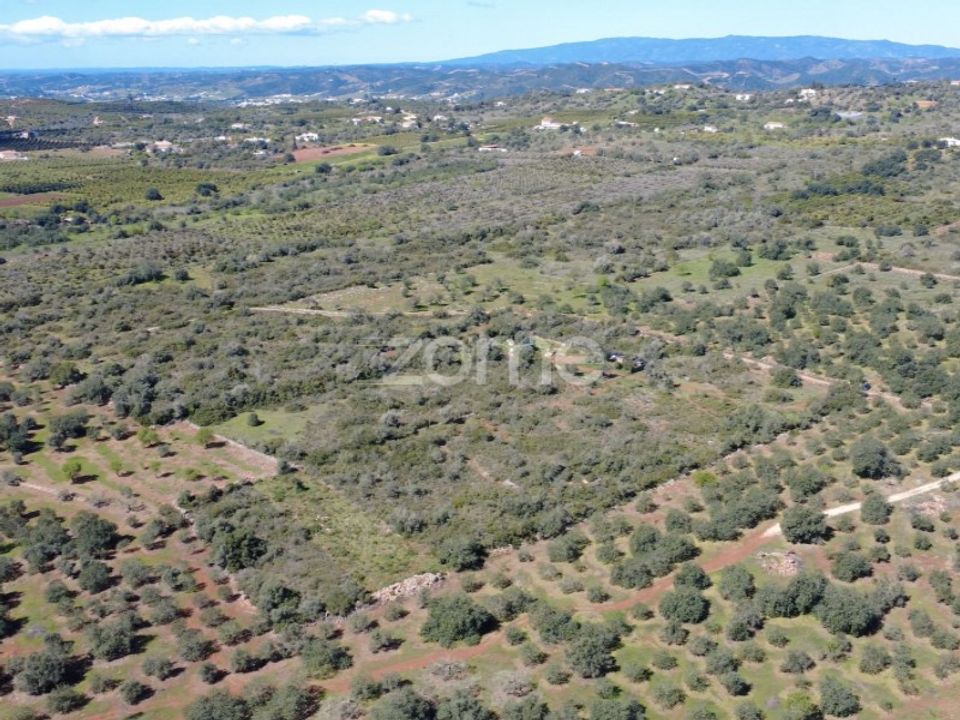 Helårsgrund i Silves, Faro - foto 5