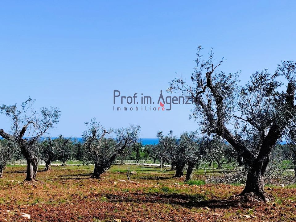 Helårsgrund i Carovigno, Brindisi - foto 1