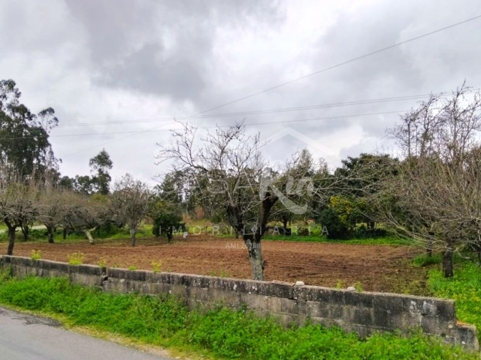 Działka: Arouca, Aveiro – zdjęcie 2