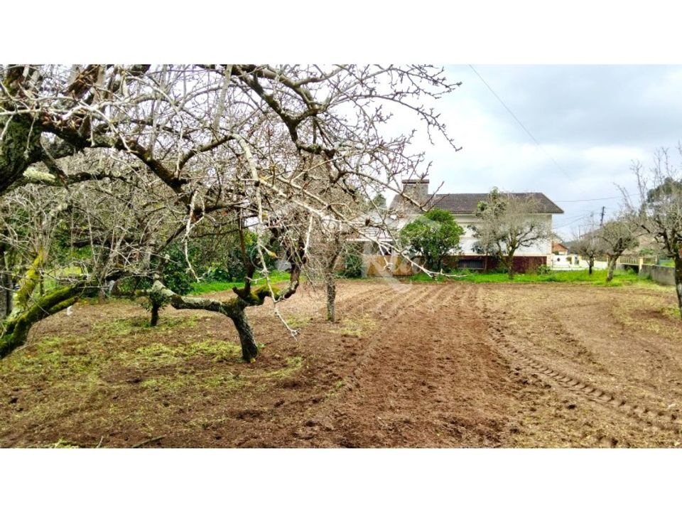 Działka: Arouca, Aveiro – zdjęcie 4