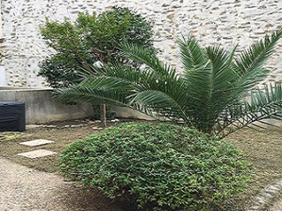 Lejlighed i Carcassonne, Aude - foto 2