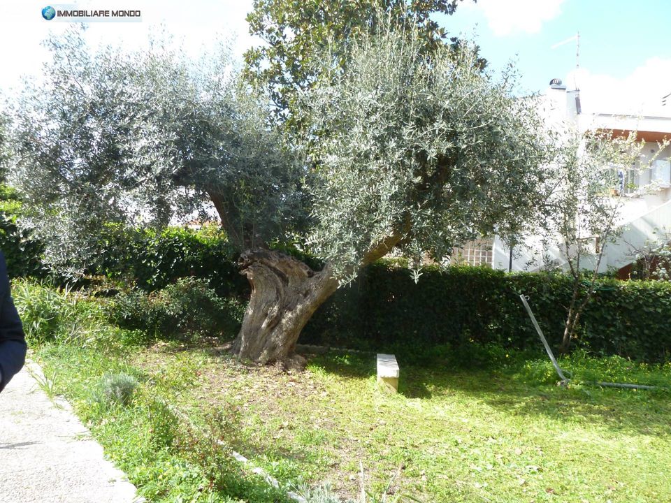 Villa i Termoli, Campobasso - bilde 4