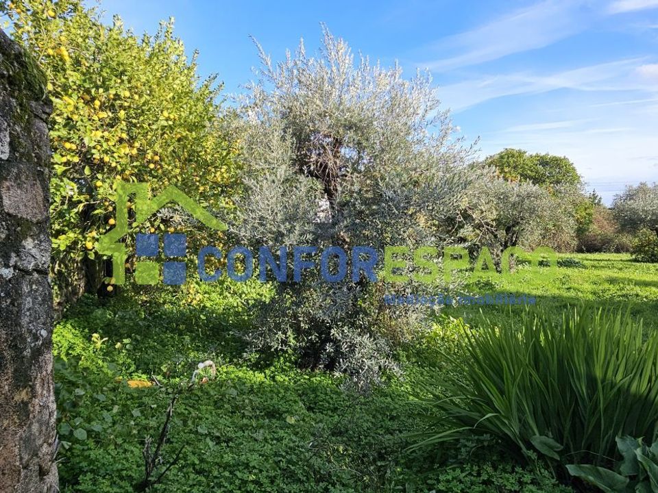 Landejendom i Castelo Branco, Castelo Branco - foto 1
