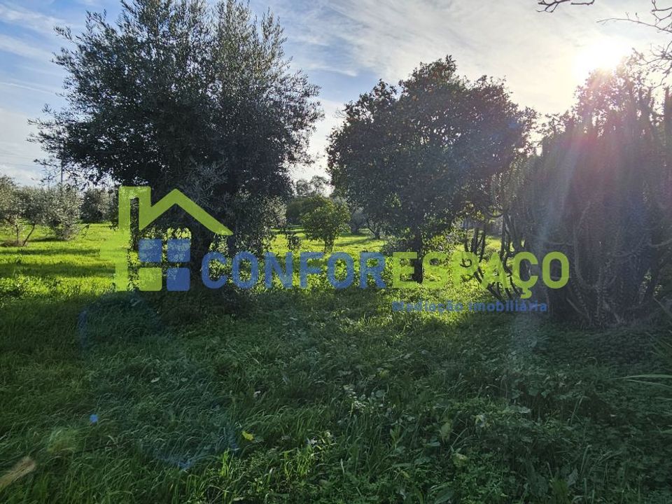 Landejendom i Castelo Branco, Castelo Branco - foto 2