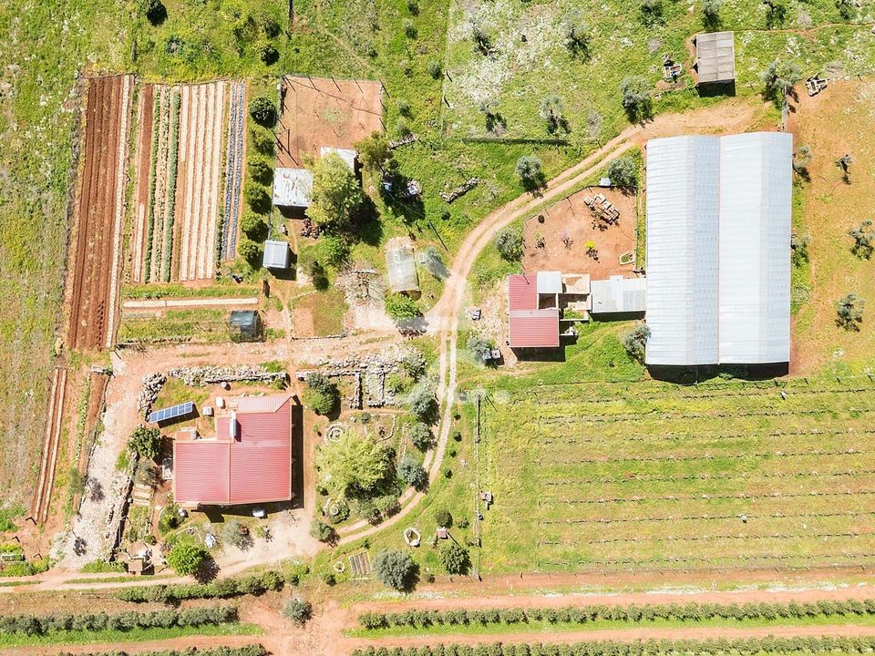 Farm hus i Sousel, Portalegre - foto 2