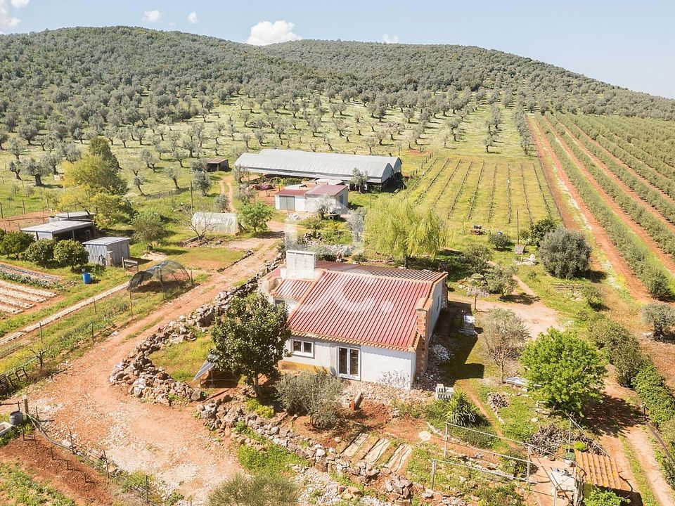 Farm hus i Sousel, Portalegre - foto 3