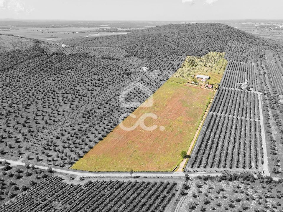 Farm hus i Sousel, Portalegre - foto 4