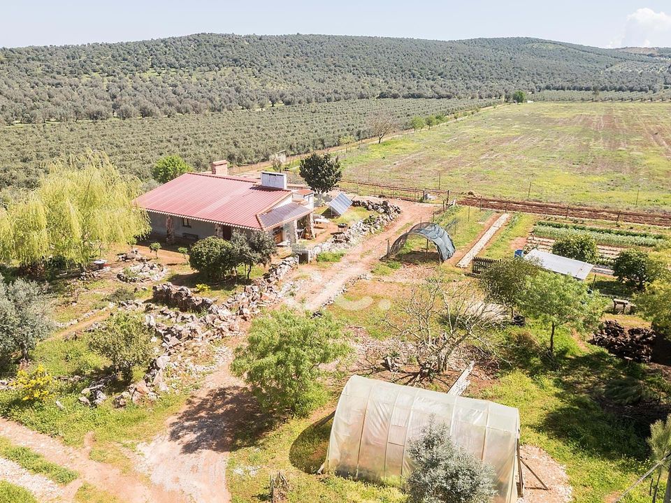Farm hus i Sousel, Portalegre - foto 5