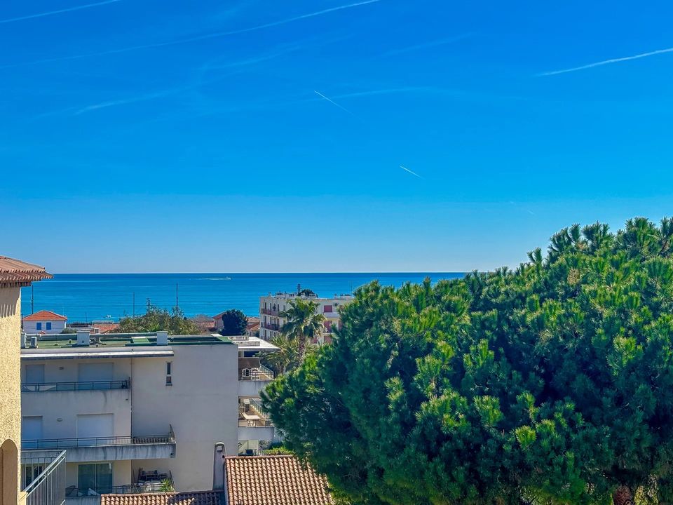 Lejlighed i Antibes, Alpes-Maritimes - foto 3