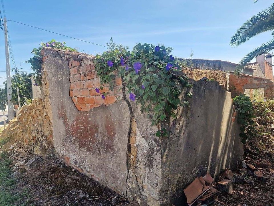 Helårsgrund i Rio Maior, Santarem - foto 2