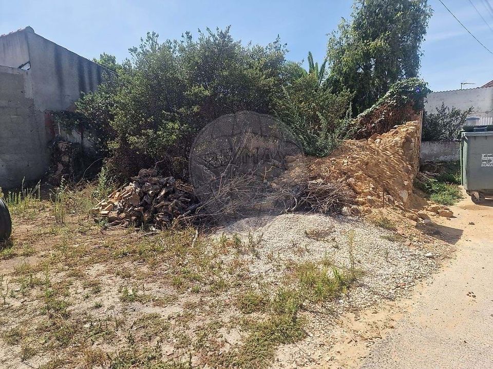 Helårsgrund i Rio Maior, Santarem - foto 5