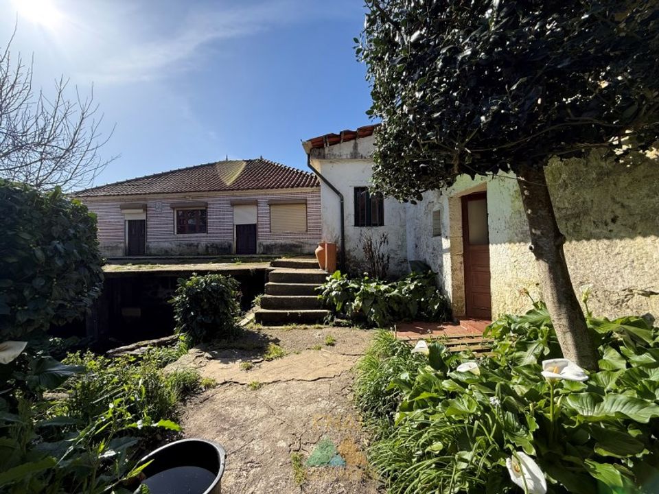 Farm i Barcelos, Braga - foto 3