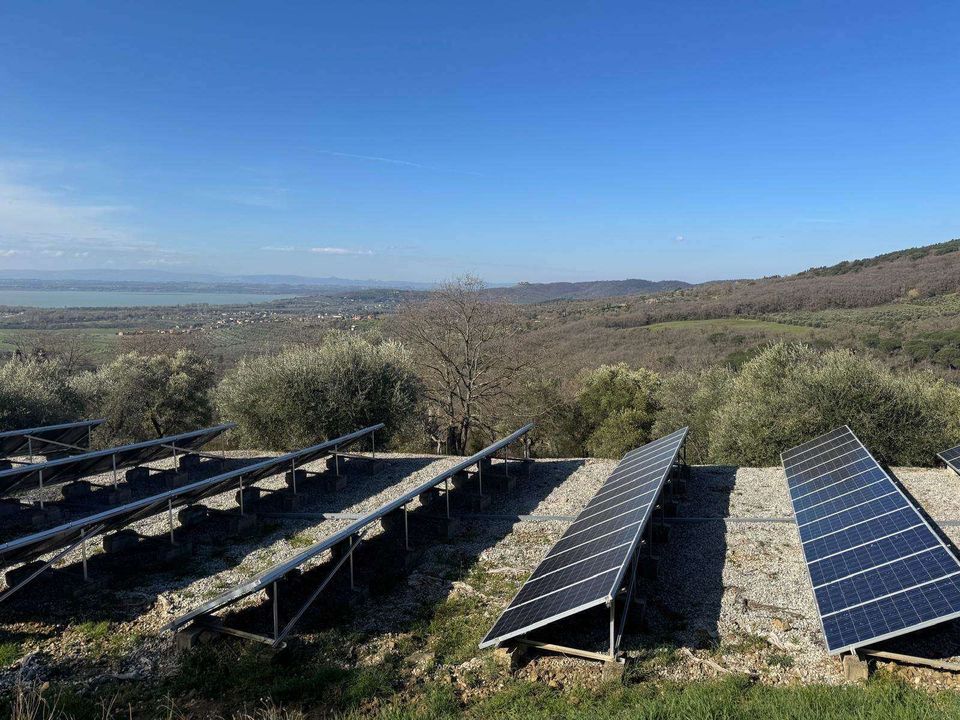 Helårsgrund i Tuoro sul Trasimeno, Perugia - foto 5