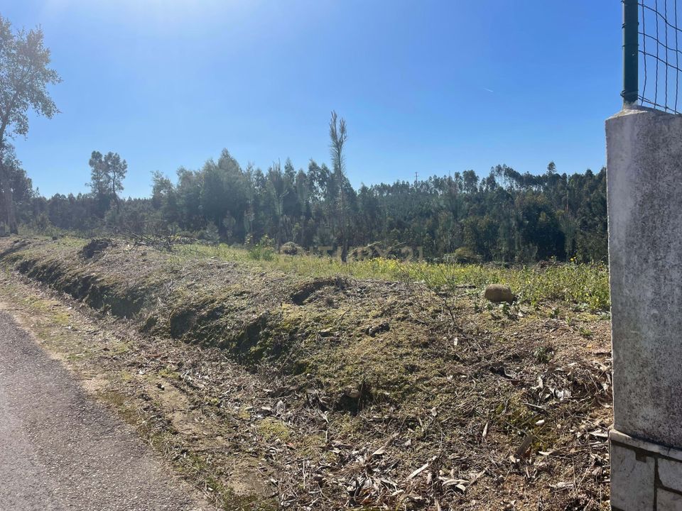 Helårsgrund i Abrantes, Santarem - foto 2