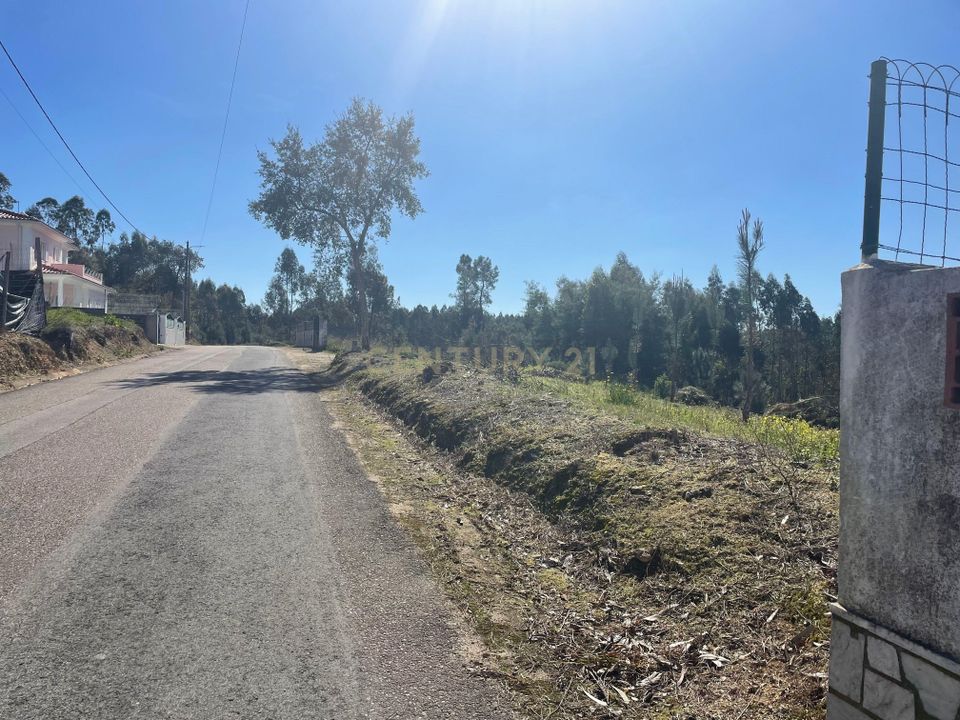 Helårsgrund i Abrantes, Santarem - foto 3