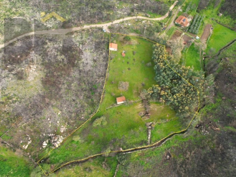Farm i Soalheira, Castelo Branco - foto 2
