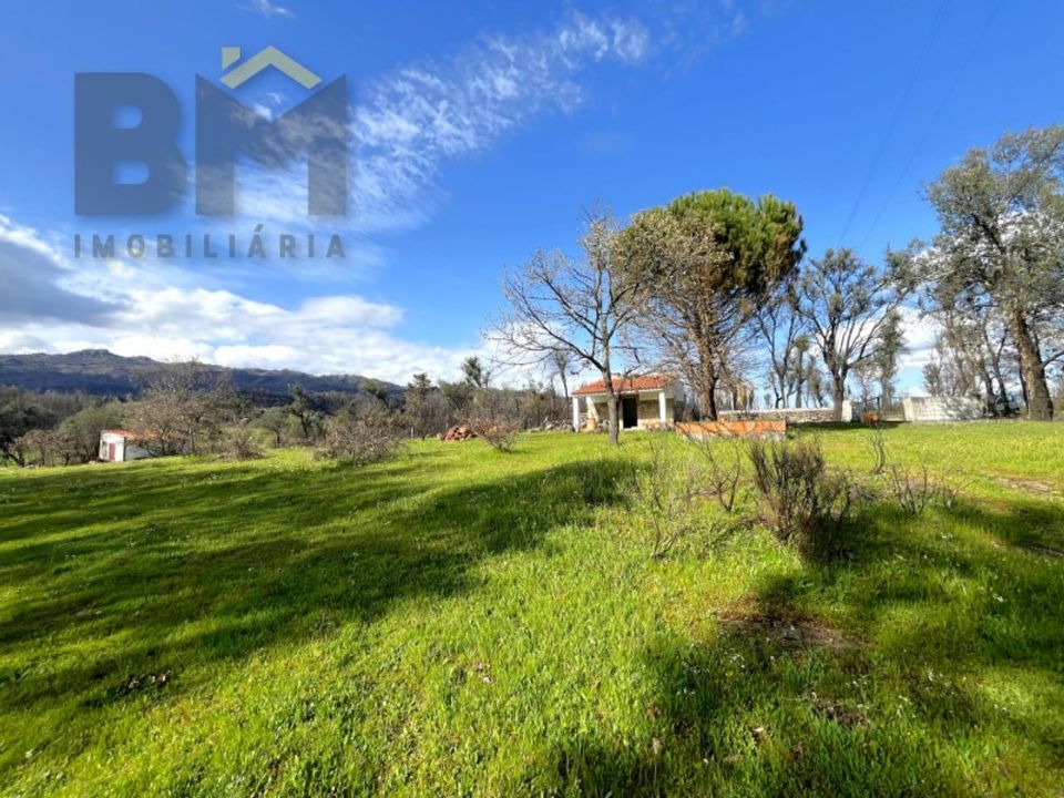 Farm i Soalheira, Castelo Branco - foto 3