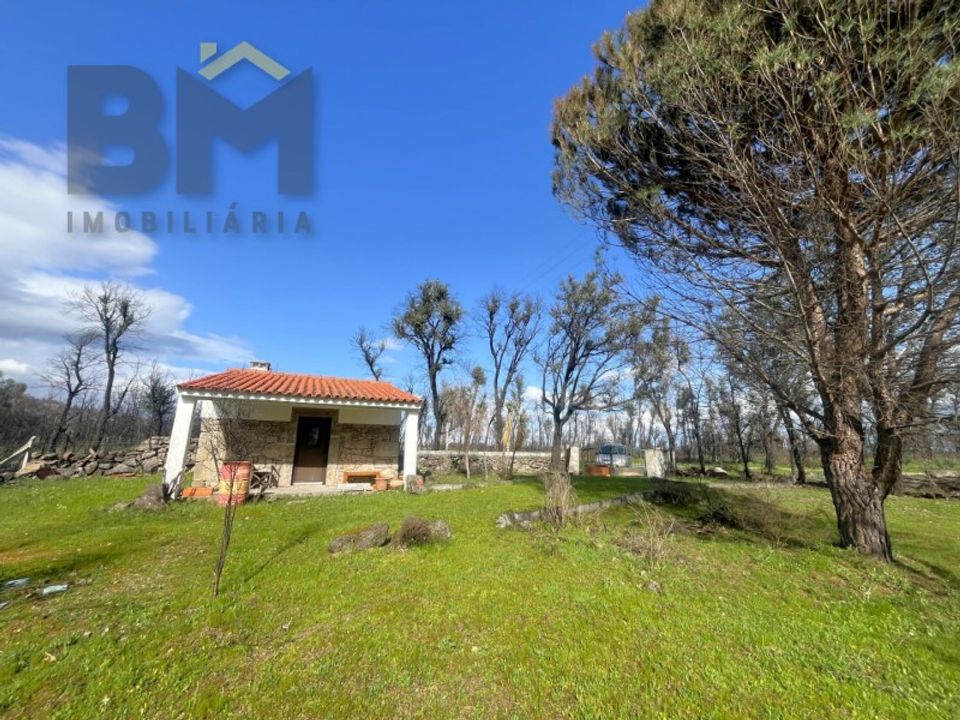 Farm i Soalheira, Castelo Branco - foto 4