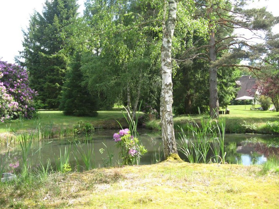 Villa i Souesmes, Loir-et-Cher - foto 3