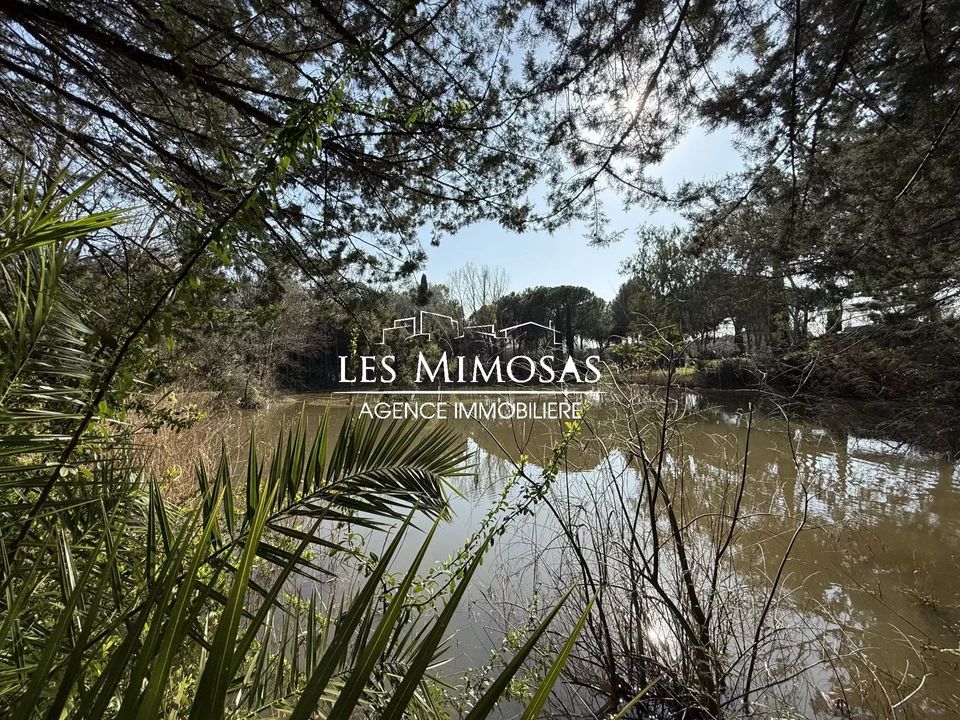 Villa i Roquebrune-sur-Argens, Var - bilde 5
