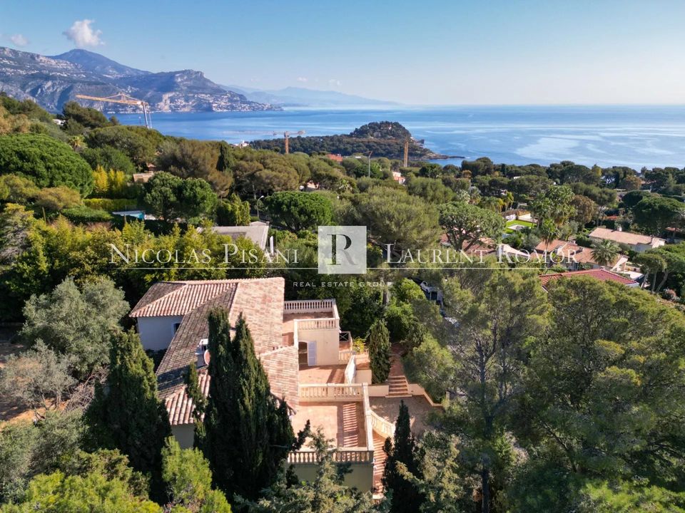 Villa i Saint-Jean-Cap-Ferrat, Alpes-Maritimes - foto 3